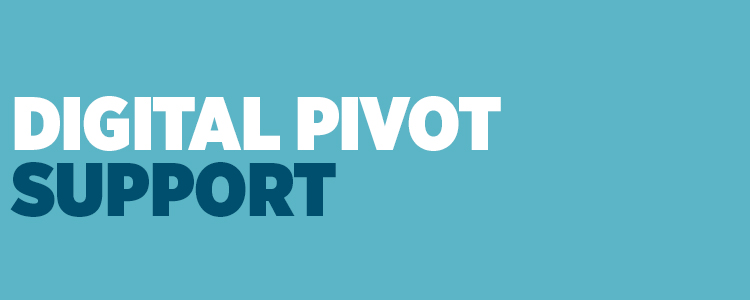 A light blue background with text over it in white and dark blue that says Digital Pivot Support
