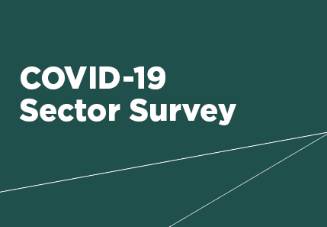 Covid 19 Sector Survey